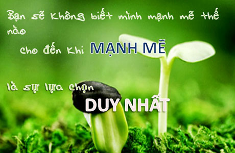 Những câu nói hay bất hủ trong đời người về chân lý cuộc sống có thể thay đổi cuộc đời bạn đọc và thấu hiểu 8
