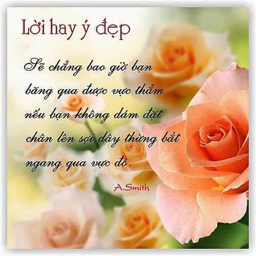 Những câu nói hay bất hủ trong đời người về chân lý cuộc sống có thể thay đổi cuộc đời bạn đọc và thấu hiểu 10