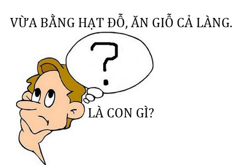 Những câu đố vui đố mẹo hài hước thú vị và hay nhất có đáp án cười đau bụng 1