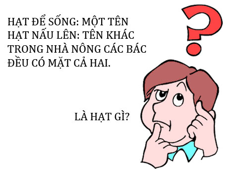 Những câu đố vui đố mẹo hài hước thú vị và hay nhất có đáp án cười đau bụng 3