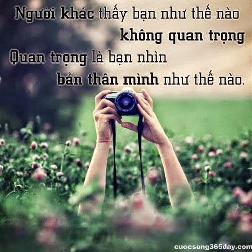 Những câu nói hay ý nghĩa và sâu sắc nhất về cuộc sống đi vào lòng người bạn nên biết 19