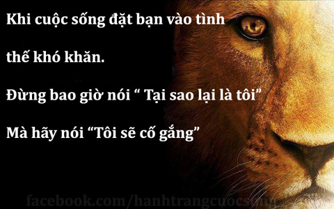 Những câu nói hay bất hủ ý nghĩa nhất để khích lệ tinh thần sống mãi với thời gian 1