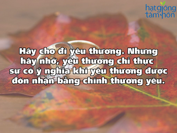 Những câu nói hay bất hủ và độc nhất về danh ngôn cuộc sống đi vào lòng người bạn không nên bỏ qua 14