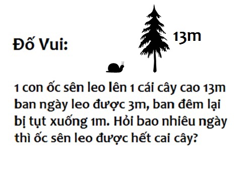 Những câu đố vui hại não cực hay và hài hước có đáp án 0