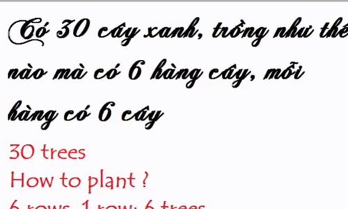 Những câu đố vui hại não cực hay và hài hước có đáp án 4