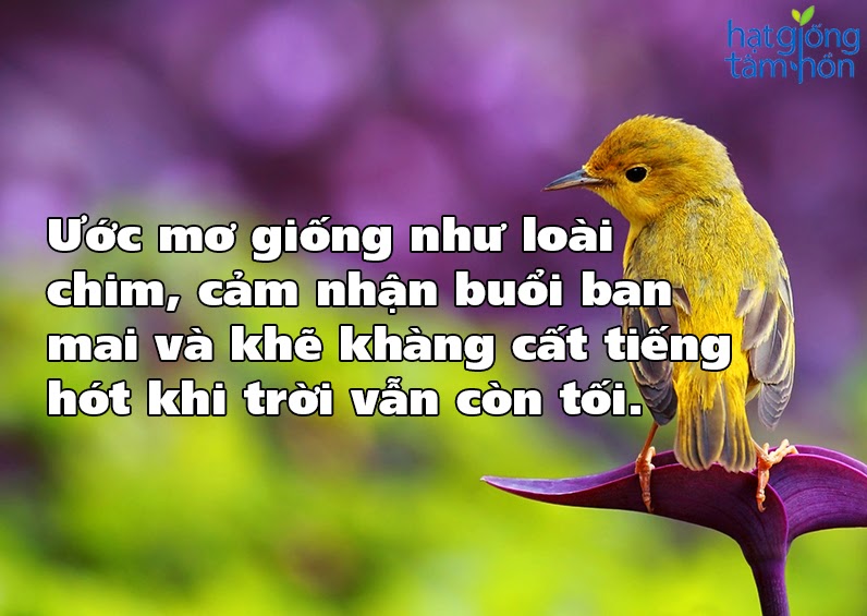 Những câu nói hay về cuộc sống – Danh ngôn cuộc sống hay và ý nghĩa nhất bạn nên biết 11
