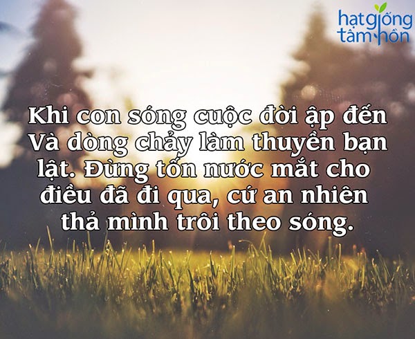 Những câu nói hay về cuộc sống – Danh ngôn cuộc sống hay và ý nghĩa nhất bạn nên biết 13