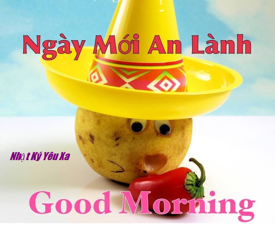 Tin nhắn chúc buổi sáng hay và ý nghĩa nhất 2