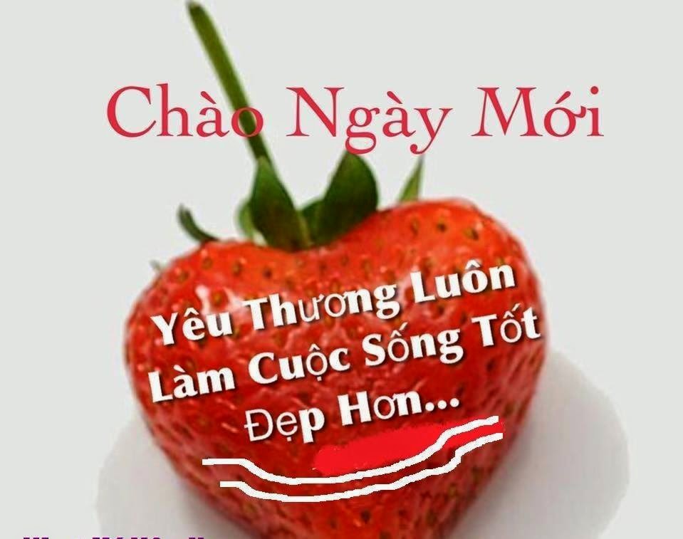 Tin nhắn chúc buổi sáng hay và ý nghĩa nhất 4