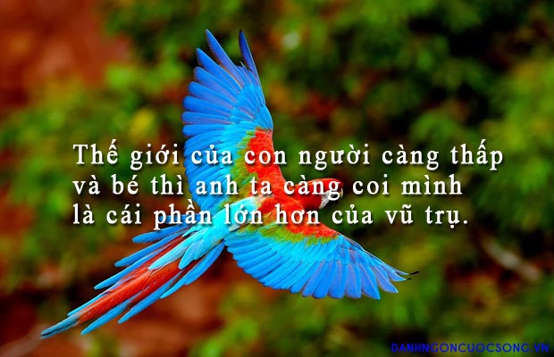 Tuyển tập những câu nói ý nghĩa – Danh ngôn hay nhất về cuộc sống đáng để xem và học tập 2