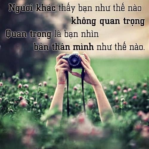 Tuyển tập những câu nói ý nghĩa – Danh ngôn hay nhất về cuộc sống đáng để xem và học tập 3