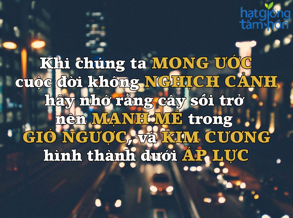 Những câu nói hay và ý nghĩa trong cuộc sống hằng ngày bạn nên biết 1