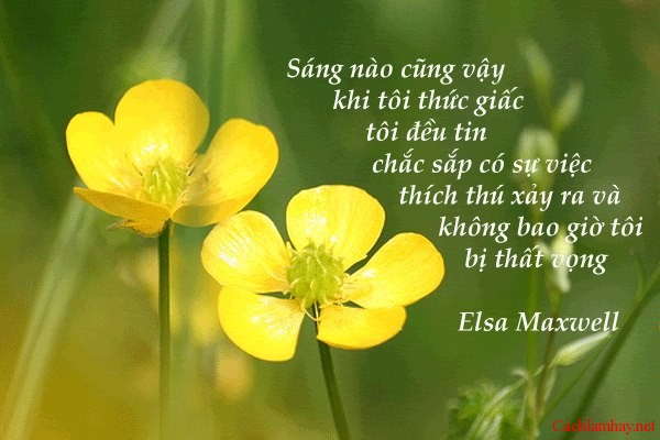 Những lời chúc hay vào buổi sáng ngắn gọn mà lãng mạn nhất cho người yêu 1