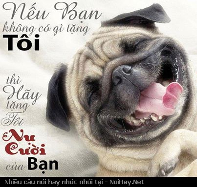 Tuyển tập những câu nói hay và ý nghĩa nhất về nụ cười bằng tiếng anh 4