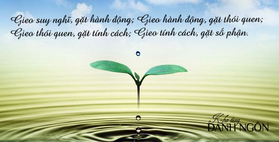 Những câu nói ý nghĩa – Danh ngôn hay nhất 2015 về cuộc sống trên facebook 3