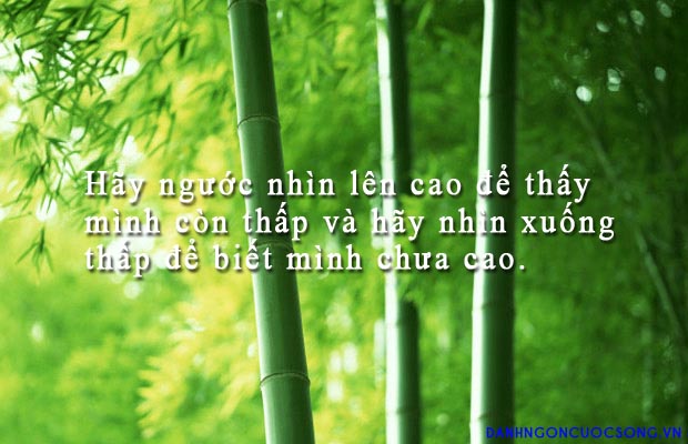Những câu nói hay – danh ngôn ý nghĩa nhất về cuộc sống bằng tiếng anh 0