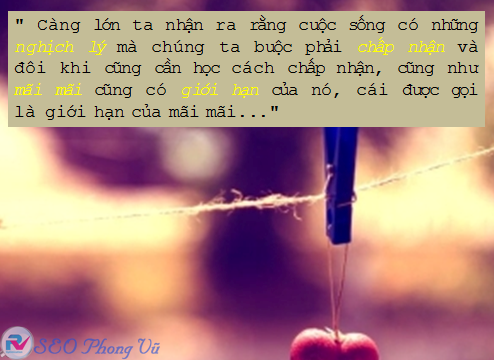 Tổng hợp những câu nói hay và ý nghĩa nhất về cuộc sống chuẩn không cẩn chỉnh 19