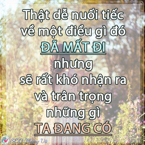 Tổng hợp những câu nói hay và ý nghĩa nhất về cuộc sống chuẩn không cẩn chỉnh 22