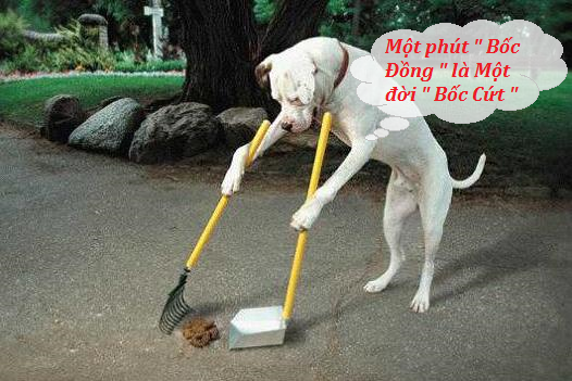 Những câu nói hay và hài hước cực bựa của giới trẻ 2