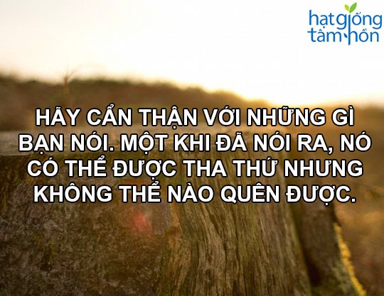 Danh ngôn hay nhất – những câu nói ý nghĩa nhất về cuộc sống quanh ta 2