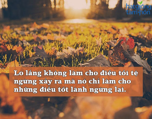 Danh ngôn hay nhất – những câu nói ý nghĩa nhất về cuộc sống quanh ta 8