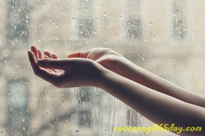 Những câu nói hay về mưa tâm trạng buồn và cô đơn 7