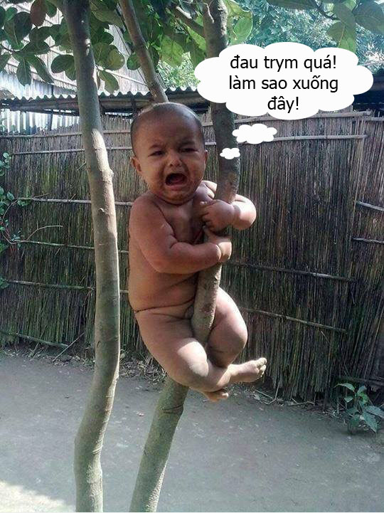 Những hình ảnh hài hước vui nhộn nhất và bá đạo nhất chỉ có ở việt nam 0