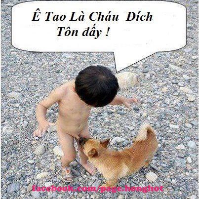 Những hình ảnh hài hước vui nhộn nhất và bá đạo nhất chỉ có ở việt nam 2