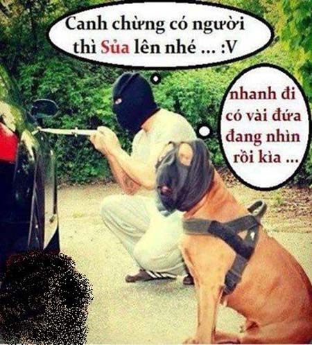 Những hình ảnh hài hước vui nhộn nhất và bá đạo nhất chỉ có ở việt nam 9