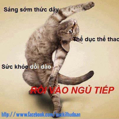 Những hình ảnh hài hước vui nhộn nhất và bá đạo nhất chỉ có ở việt nam 10