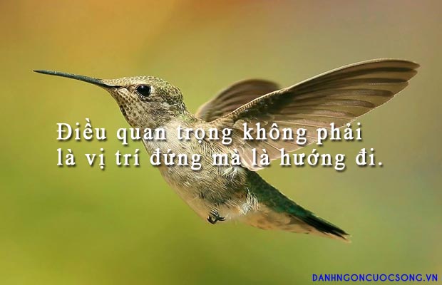 Những câu nói hay – danh ngôn ý nghĩa nhất về thành công bạn không nên bỏ qua 4