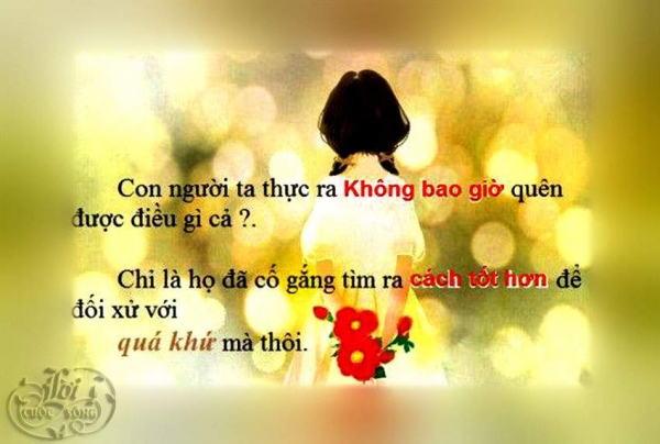Tổng hợp những câu nói hay và ý nghĩa nhất về cuộc sống giúp chúng ta vượt qua mọi khó khăn 0
