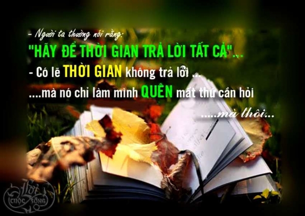 Tổng hợp những câu nói hay và ý nghĩa nhất về cuộc sống giúp chúng ta vượt qua mọi khó khăn 2