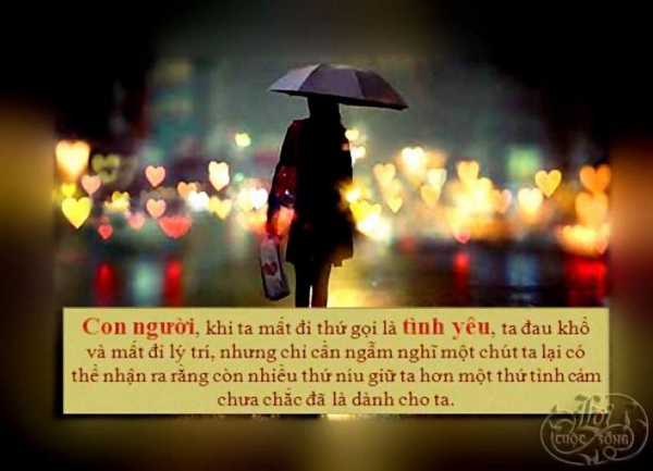 Tổng hợp những câu nói hay và ý nghĩa nhất về cuộc sống giúp chúng ta vượt qua mọi khó khăn 11