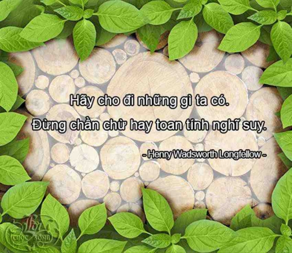 Tổng hợp những câu nói hay và ý nghĩa nhất về cuộc sống giúp chúng ta vượt qua mọi khó khăn 14
