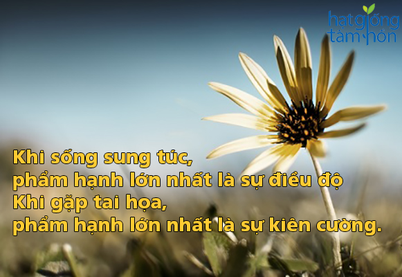Những câu nói hay về cuộc sống ý nghĩa nhất đáng để đọc 1