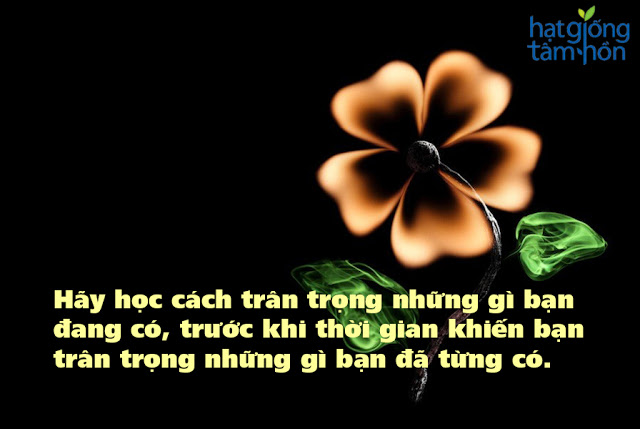 Những câu nói hay về cuộc sống ý nghĩa nhất đáng để đọc 16