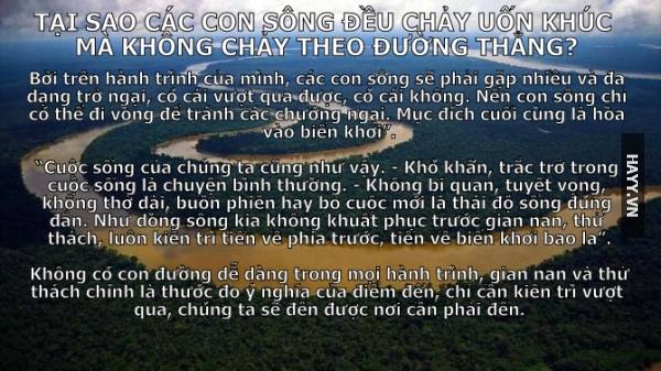 Những câu danh ngôn ý nghĩa và hay nhất về cuộc sống giúp bạn trưởng thành hơn 6