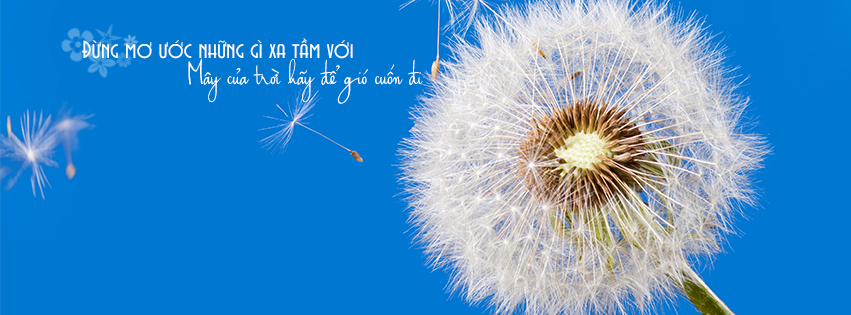 Những câu nói hay và ý nghĩa nhất về phương châm sống có ích cho bạn cho tôi 3