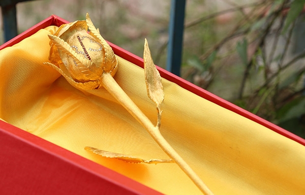 Những hình ảnh hoa đẹp tặng phụ nữ bạn gái ngày 20-10 ấn tượng và ý nghĩa nhất 9