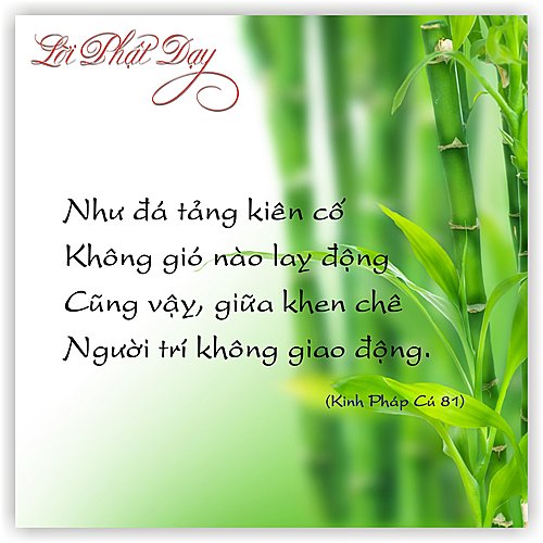 Tổng hợp những câu răn dạy ý nghĩa của phật về triết lý cuộc sống 1