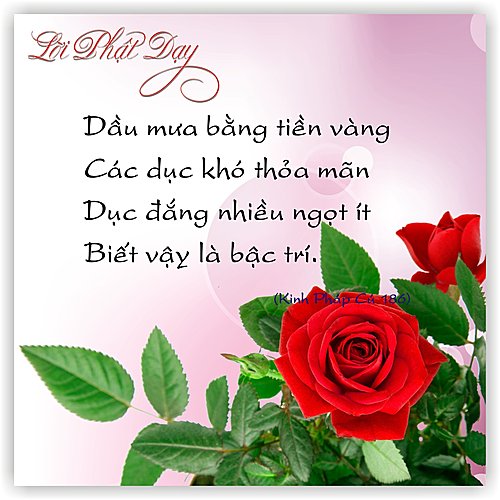 Tổng hợp những câu răn dạy ý nghĩa của phật về triết lý cuộc sống 2