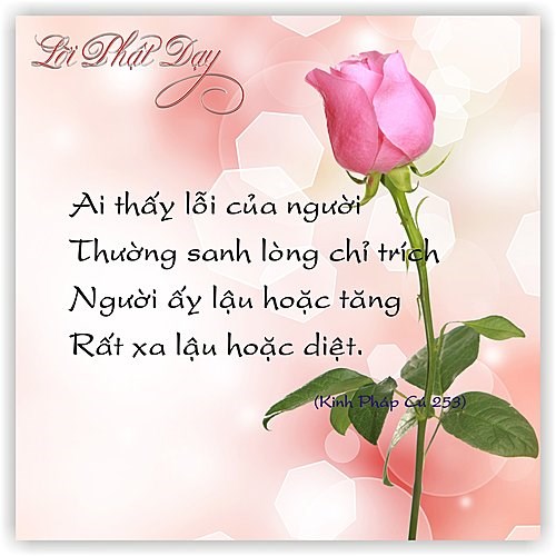Tổng hợp những câu răn dạy ý nghĩa của phật về triết lý cuộc sống 3