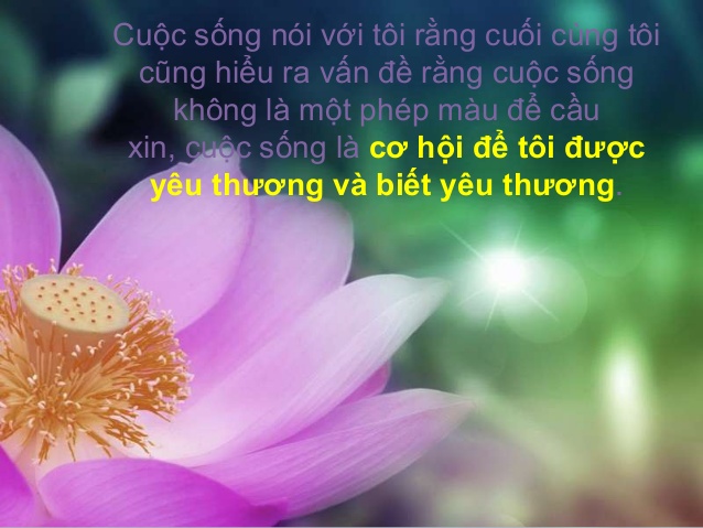 50 câu nói hay về cuộc sống thấm đượm lòng người giúp ta yêu đời hơn 4