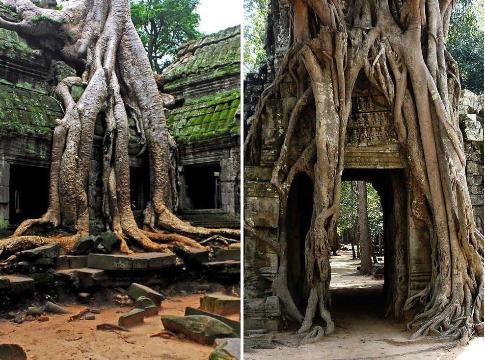 Cùng ngắm nhìn những bức ảnh đẹp tuyệt vời trên thế giới 2