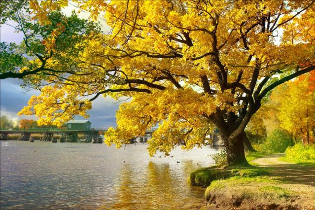 Những hình ảnh thiên nhiên đẹp mê hồn khi mùa thu đến 2