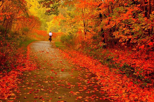 Những hình ảnh thiên nhiên đẹp mê hồn khi mùa thu đến 3
