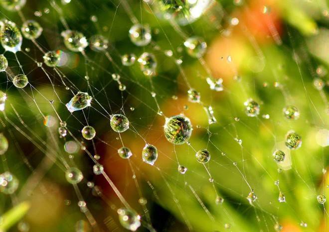Tuyển tập những hình ảnh về mưa đẹp lung linh và ấn tượng nhất 10
