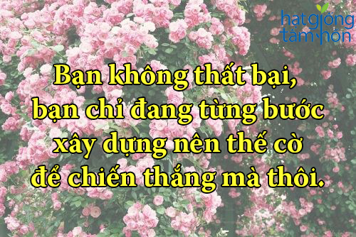 Những câu nói hay về cuộc sống hằng ngày giúp chúng ta sống có ý nghĩa hơn 0