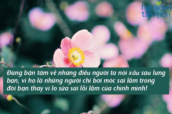 Những câu nói hay về cuộc sống hằng ngày giúp chúng ta sống có ý nghĩa hơn 1